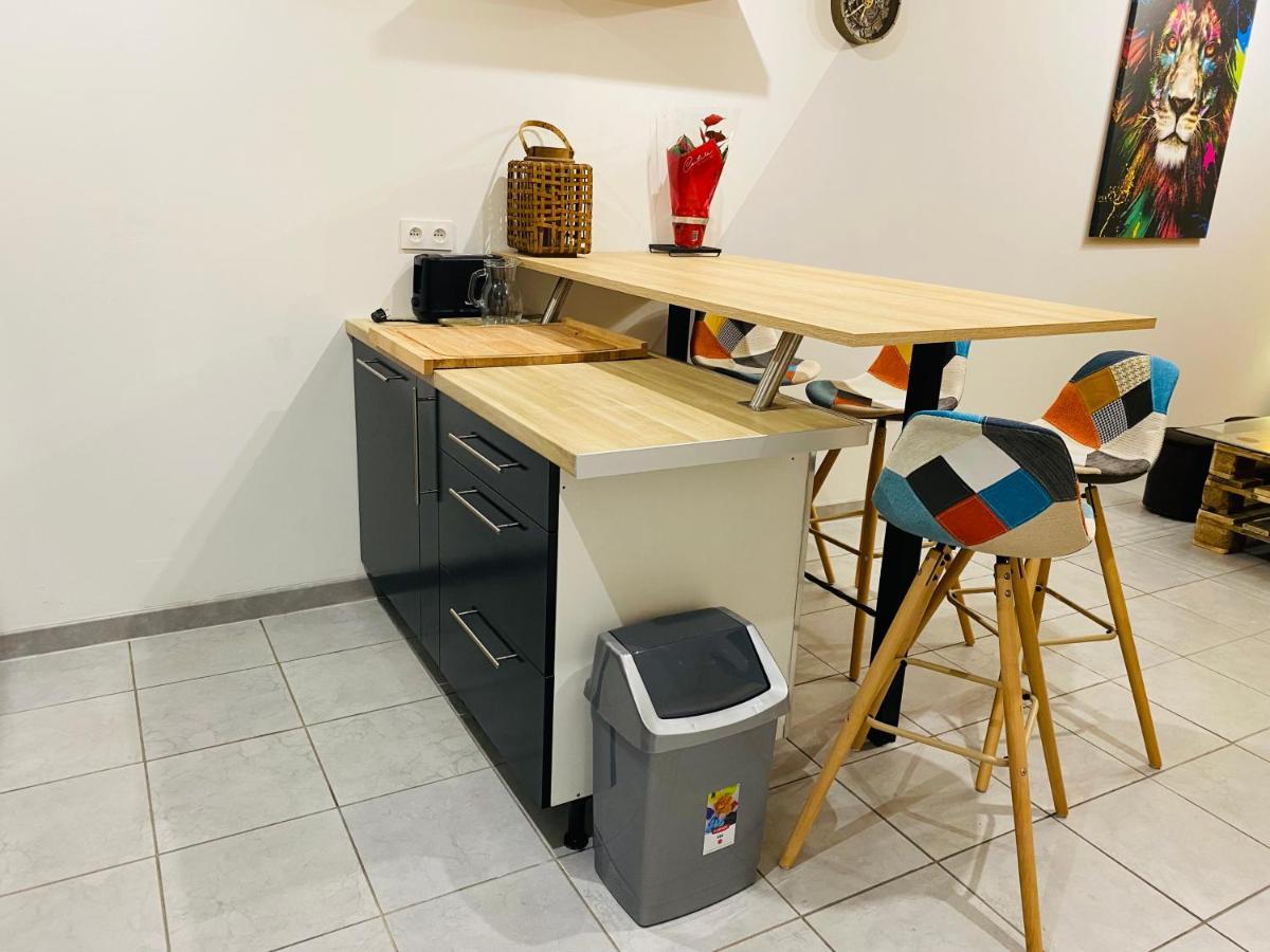 Studio 40M2 Plein Pied Avec Parking Jussac Exterior foto
